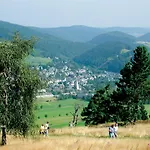 Hébergement de vacances Bellevue