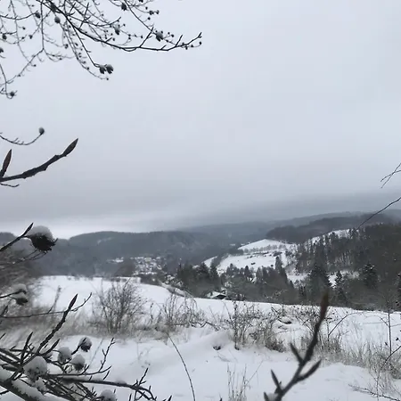 Bellevue * Willingen (Upland)