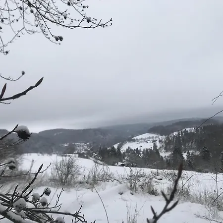 Bellevue Holiday home Willingen (Upland)