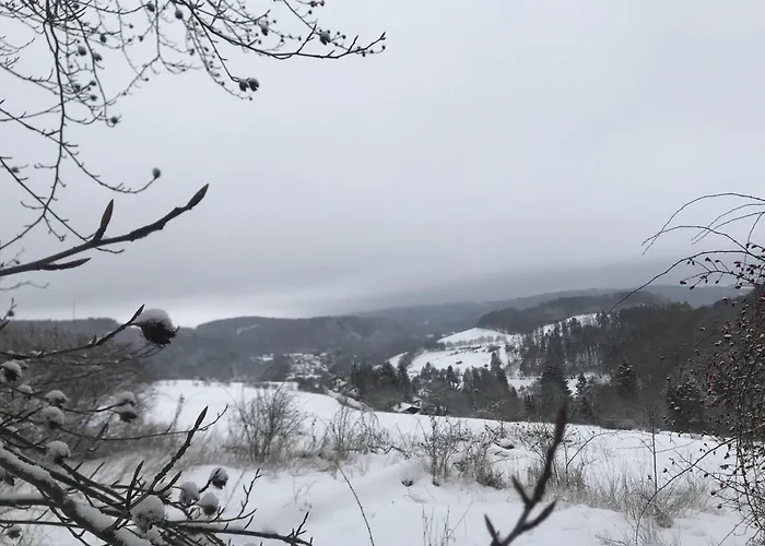 Bellevue Hébergement de vacances Willingen (Upland)